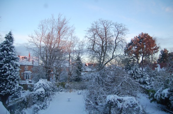 It's beautiful but....